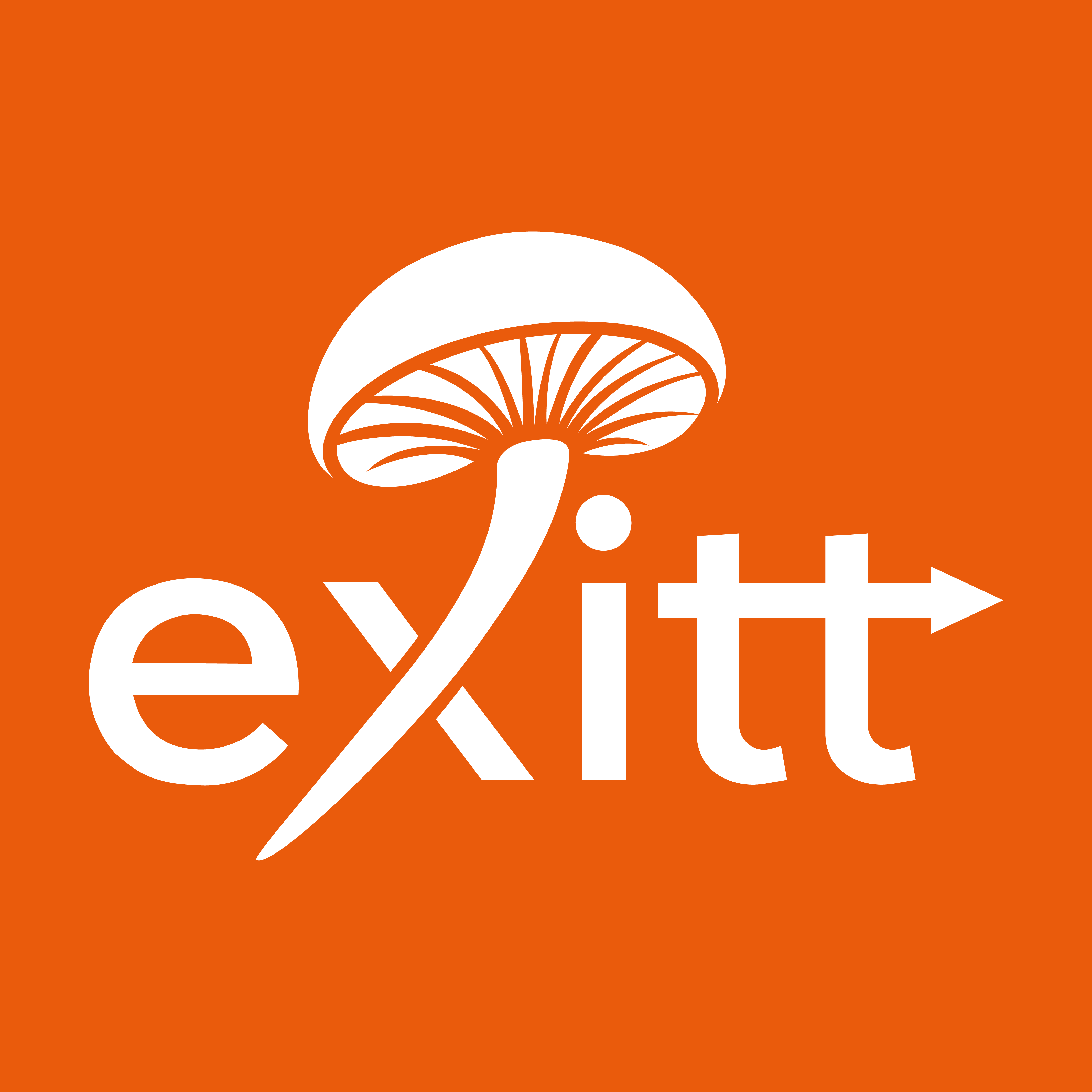 EXITT - Spécialiste traitement ravageurs du bois